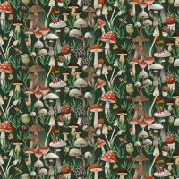 dsStella-D3776 FOREST